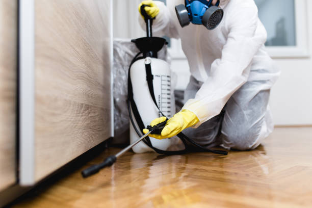 Best Rat Extermination Near Me  in Steele, AL