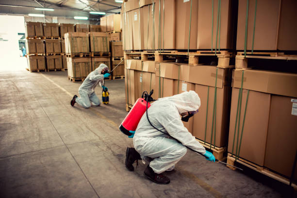 Best Bed Bug Extermination  in Steele, AL