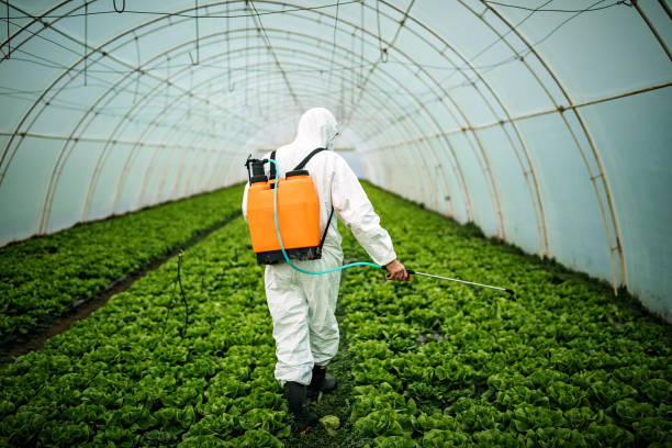 Reliable Steele, AL Pest Control Solutions