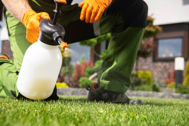 Best Wasp Removal Services  in Steele, AL