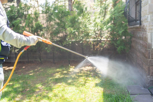 Best Local Pest Control Services  in Steele, AL