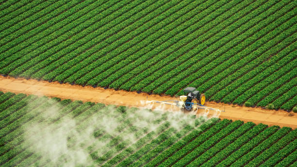 Best Pest Control Near Me  in Steele, AL