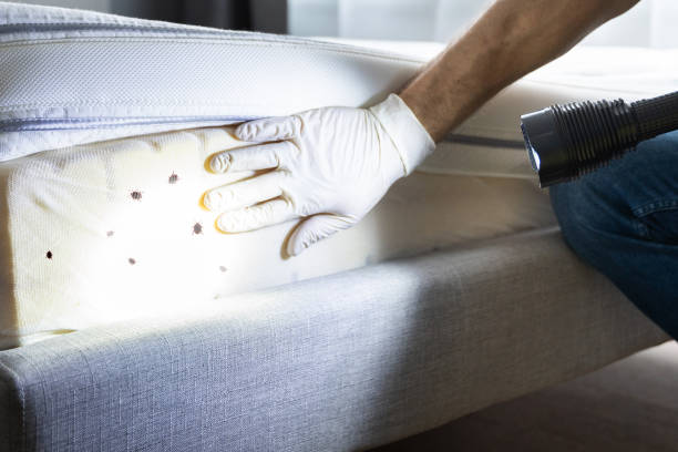 Best Pest Prevention Services  in Steele, AL