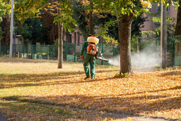 Pest Control for Restaurants in Steele, AL