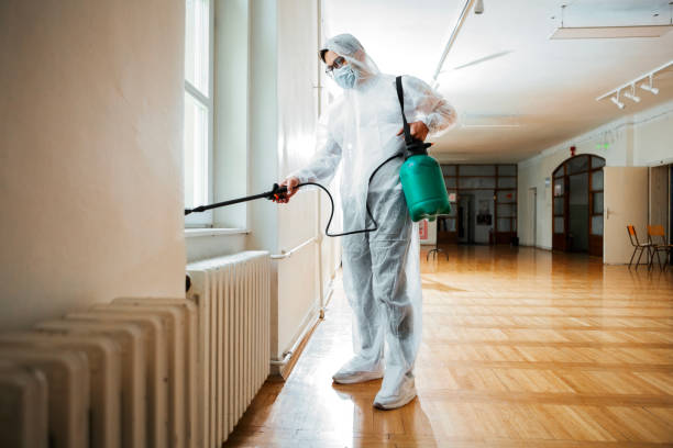 Best Pest Control Near Me in Steele, AL