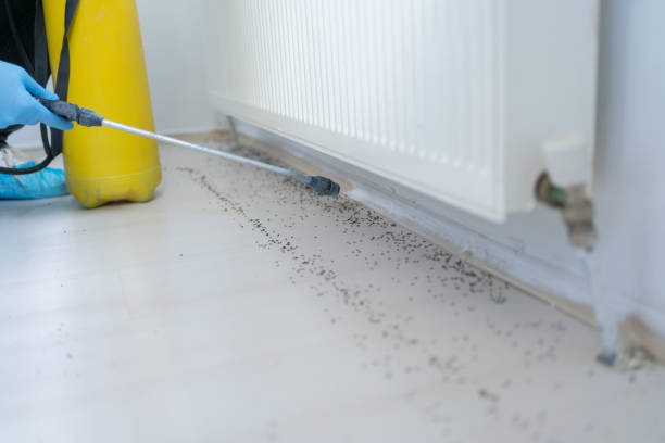 Best Best Pest Control Companies  in Steele, AL