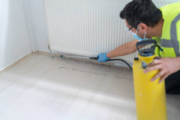 Best Commercial Pest Control Services  in Steele, AL
